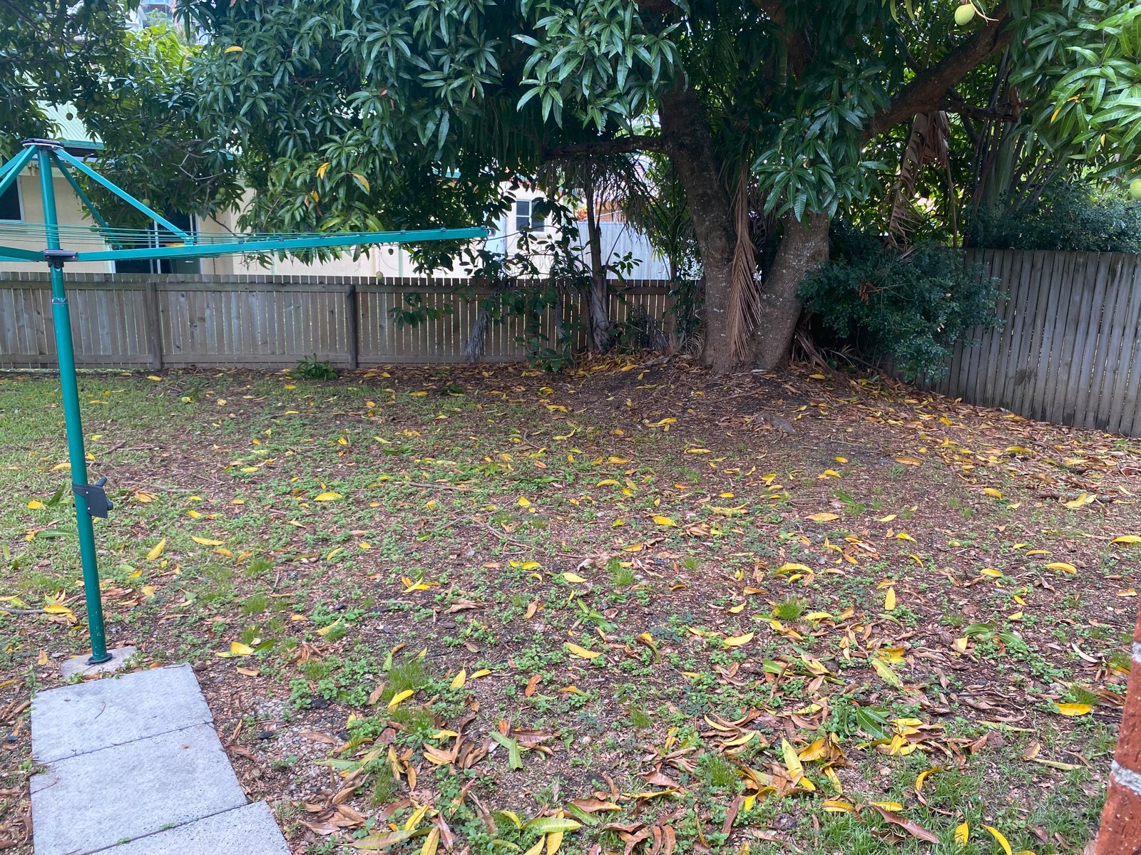 15 Erromango Dr  JUBILEE POCKET 11