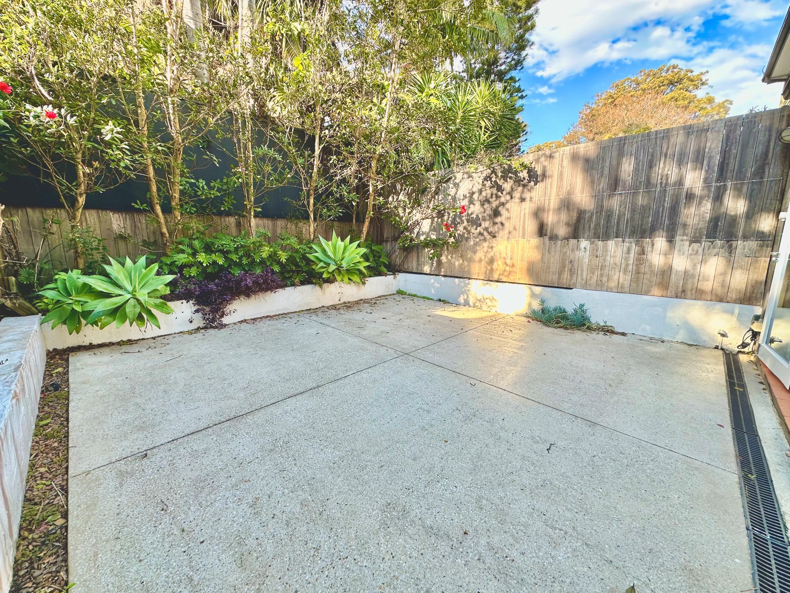 15 Figtree Avenue RANDWICK 8