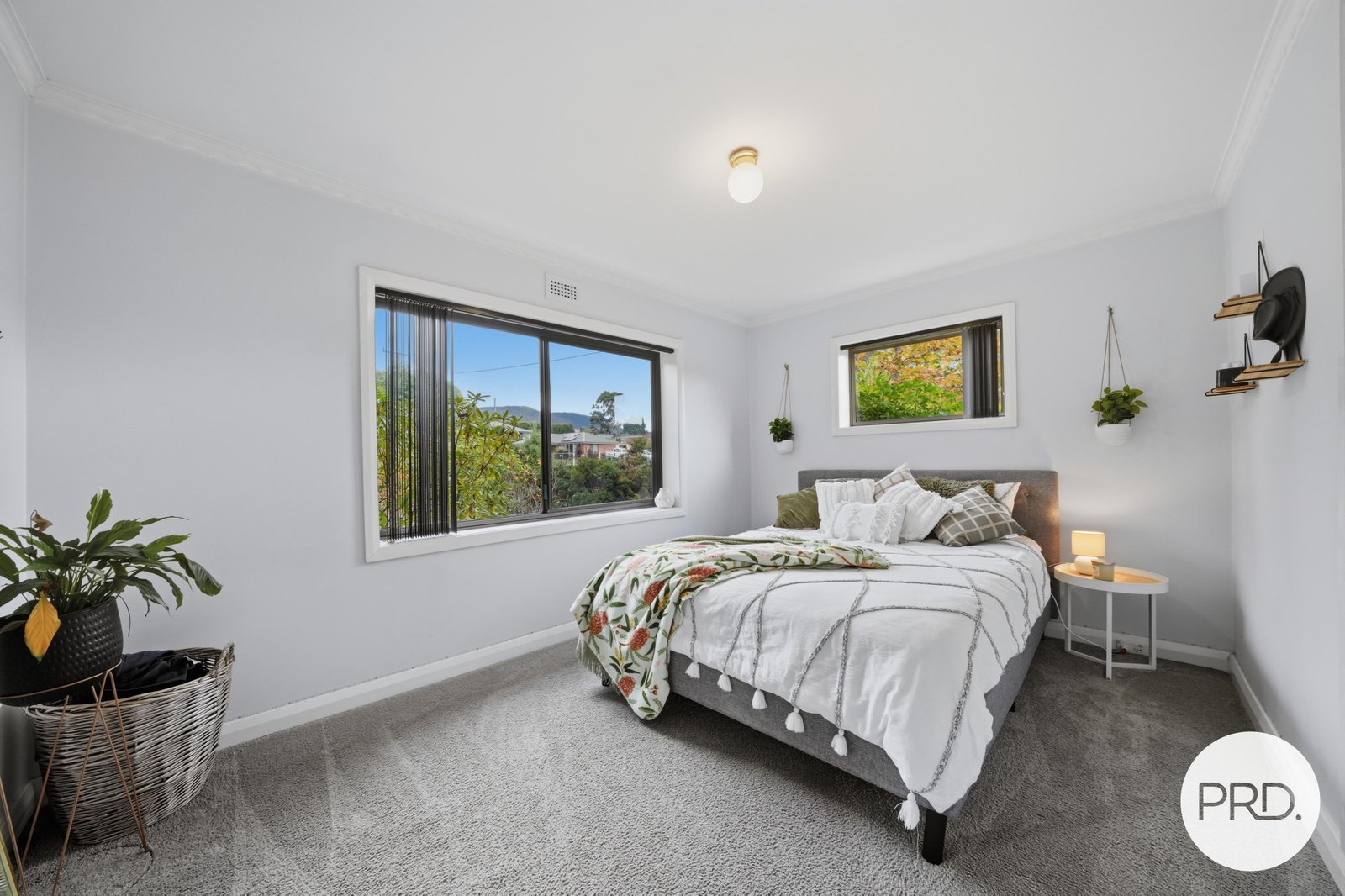 15 Goldsmith Street LAWITTA 8
