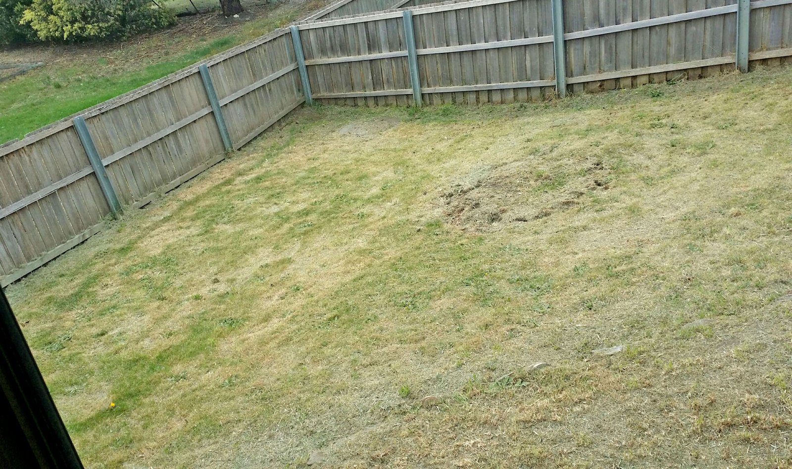 15 Graham Court NEW NORFOLK 9