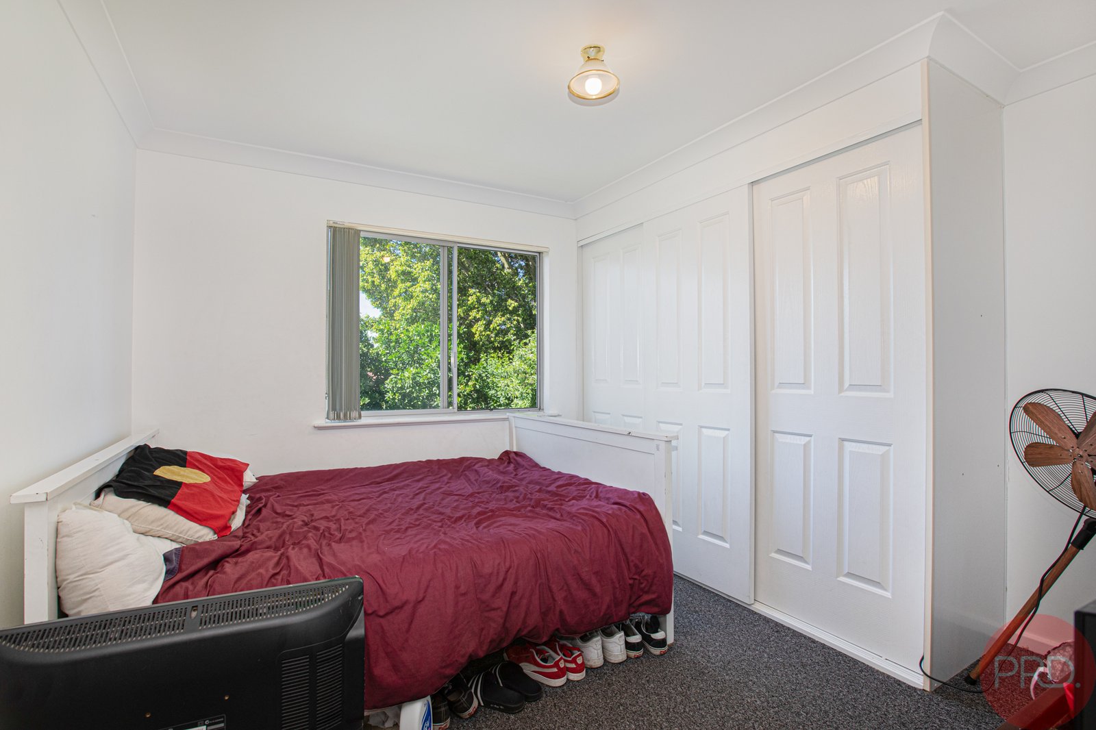 15 Hague Street RUTHERFORD 10