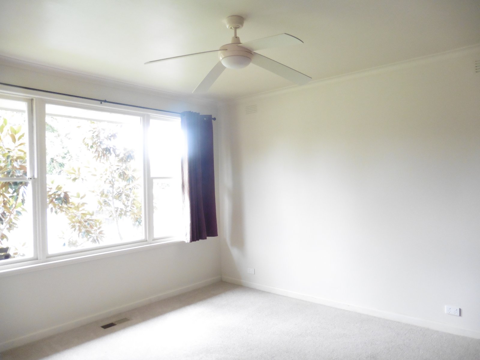 Gallery: 1/5 Haines Street