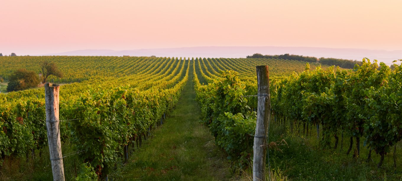 15 Hannah Crescent NAGAMBIE 7