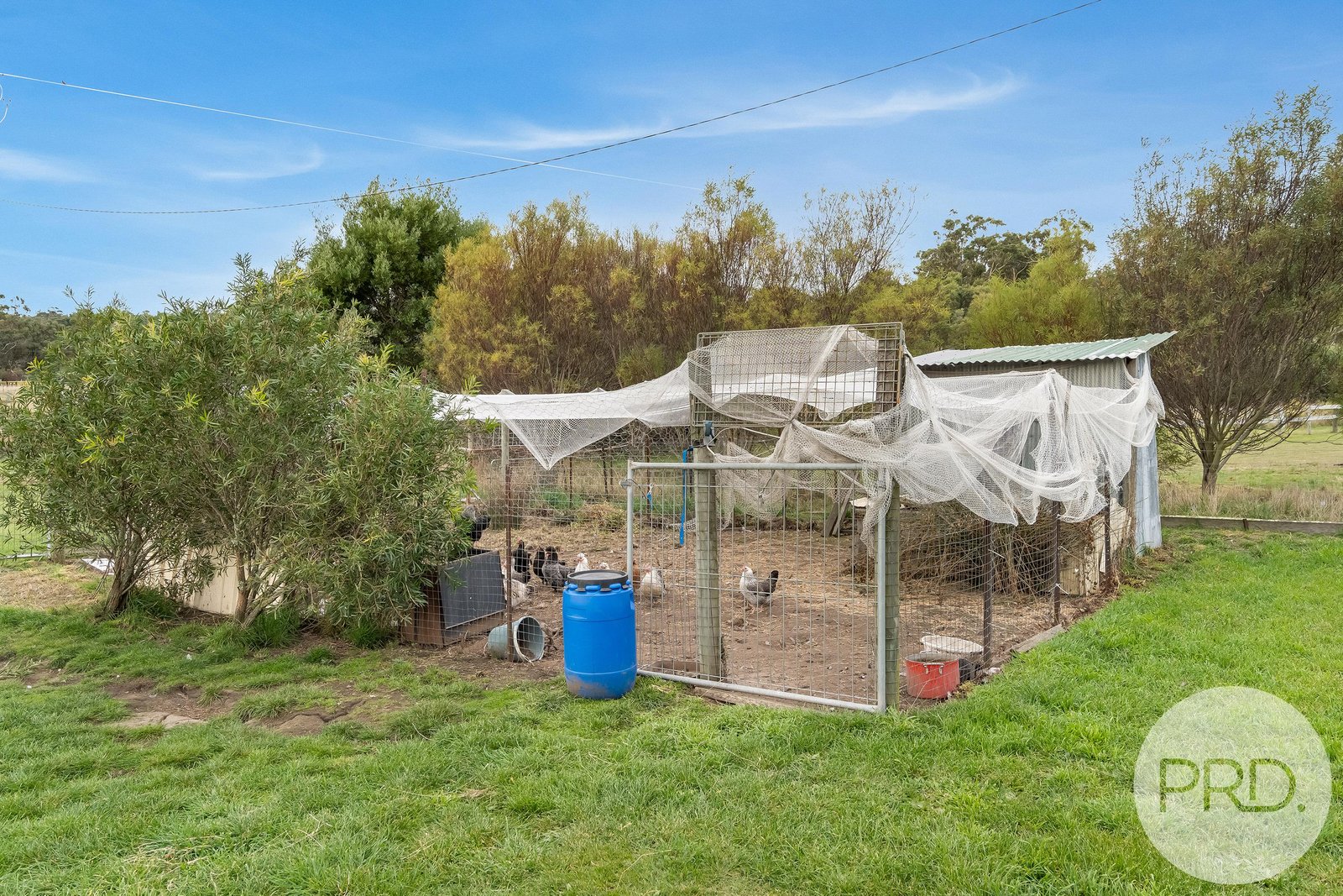 15 Heatherbell Road FORCETT 32