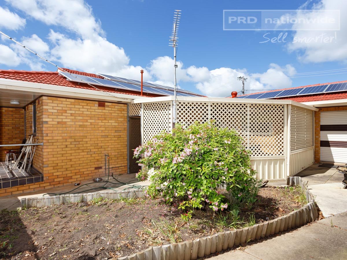 15 Jacaranda Drive LAKE ALBERT 10