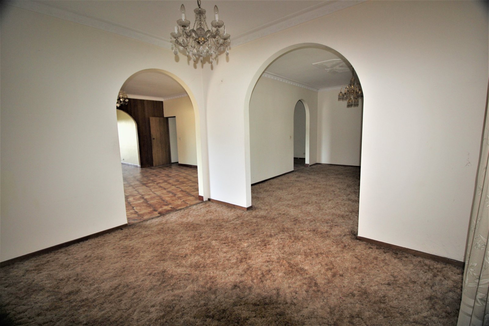 Gallery: 15 Jellicoe Street