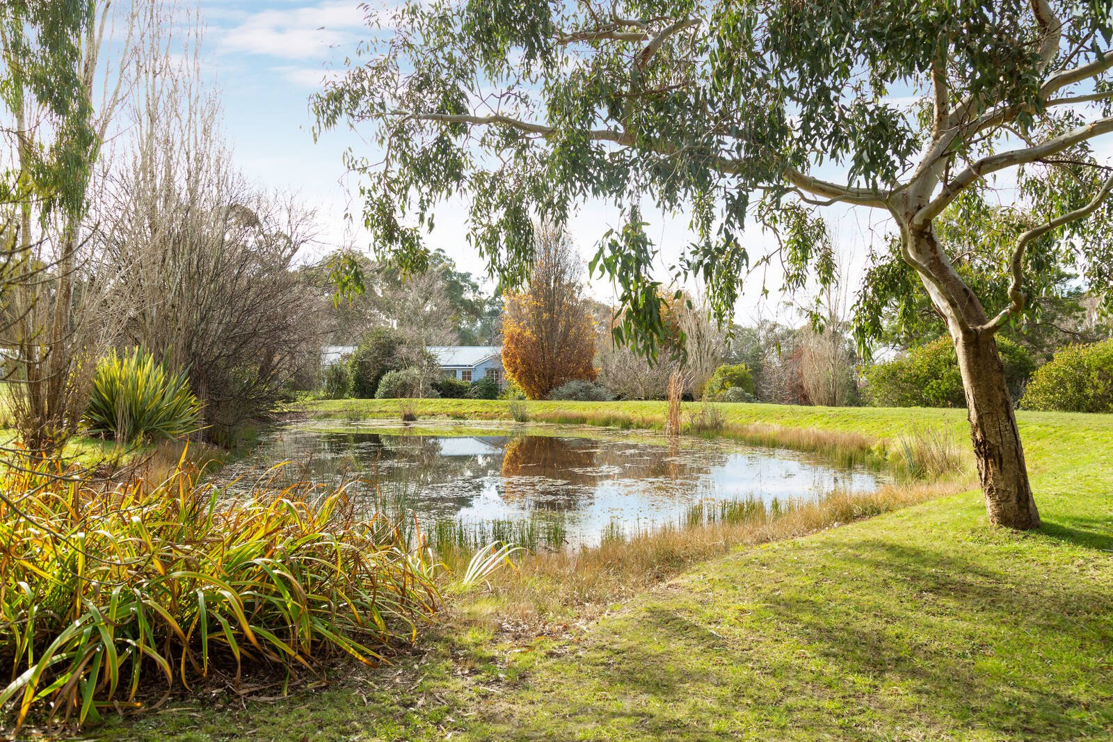 Real Estate and Property in 15 Jim Road, Newham, VIC