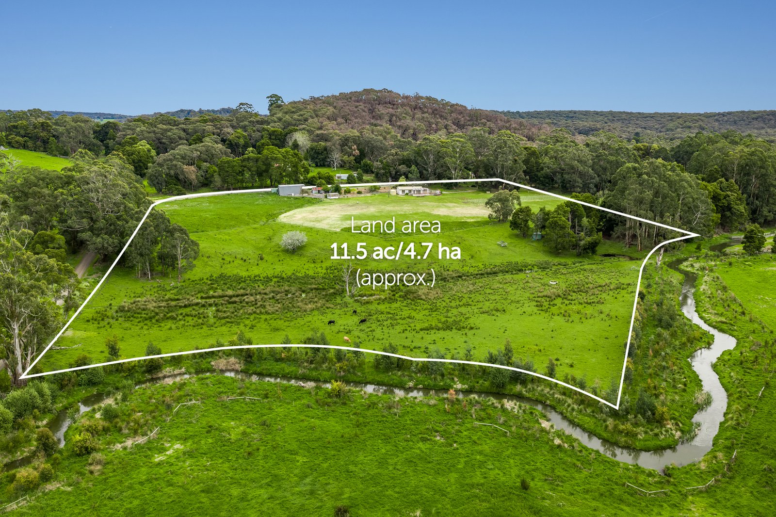 Gallery: 15 Kents Road