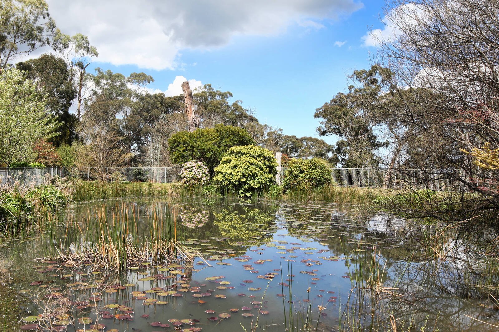 Real Estate and Property in 15 Mabel Crescent, Mount Macedon, VIC