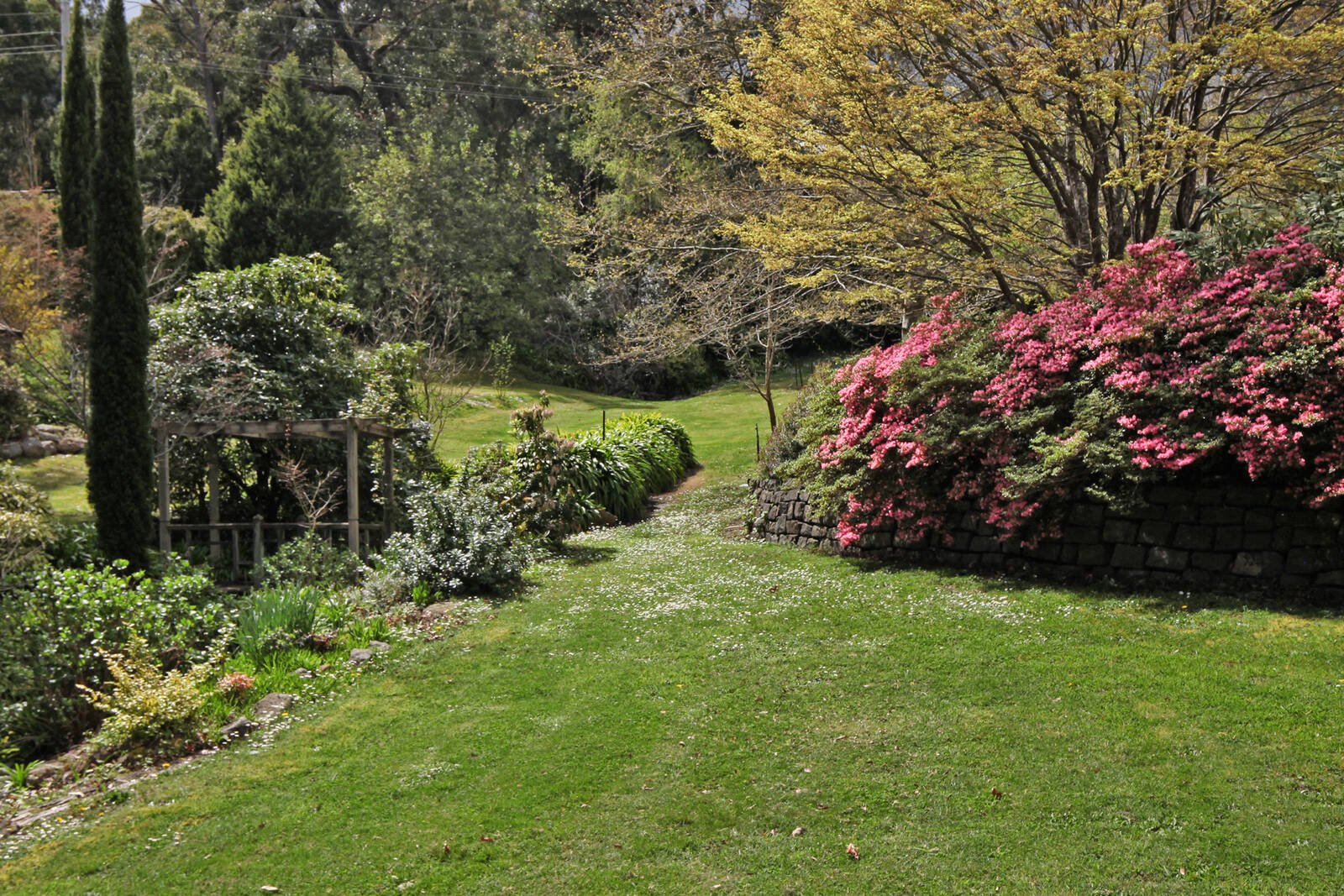 Real Estate and Property in 15 Mabel Crescent, Mount Macedon, VIC