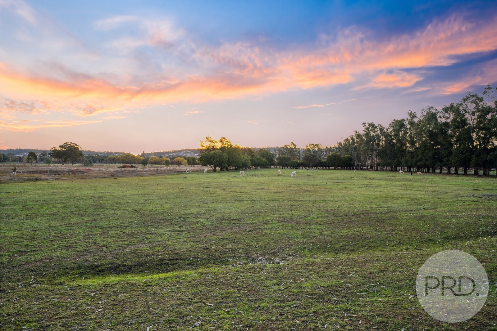 15 Maple Road LAKE ALBERT 23
