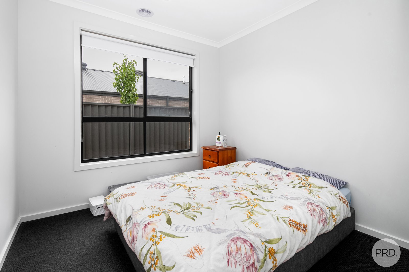 15 Martland Street LUCAS 11