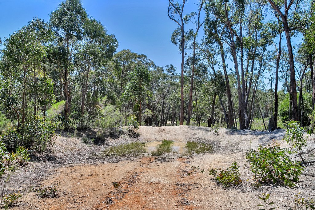 15 McCallum Road SCARSDALE 2