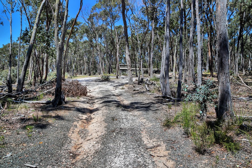 15 McCallum Road SCARSDALE 3