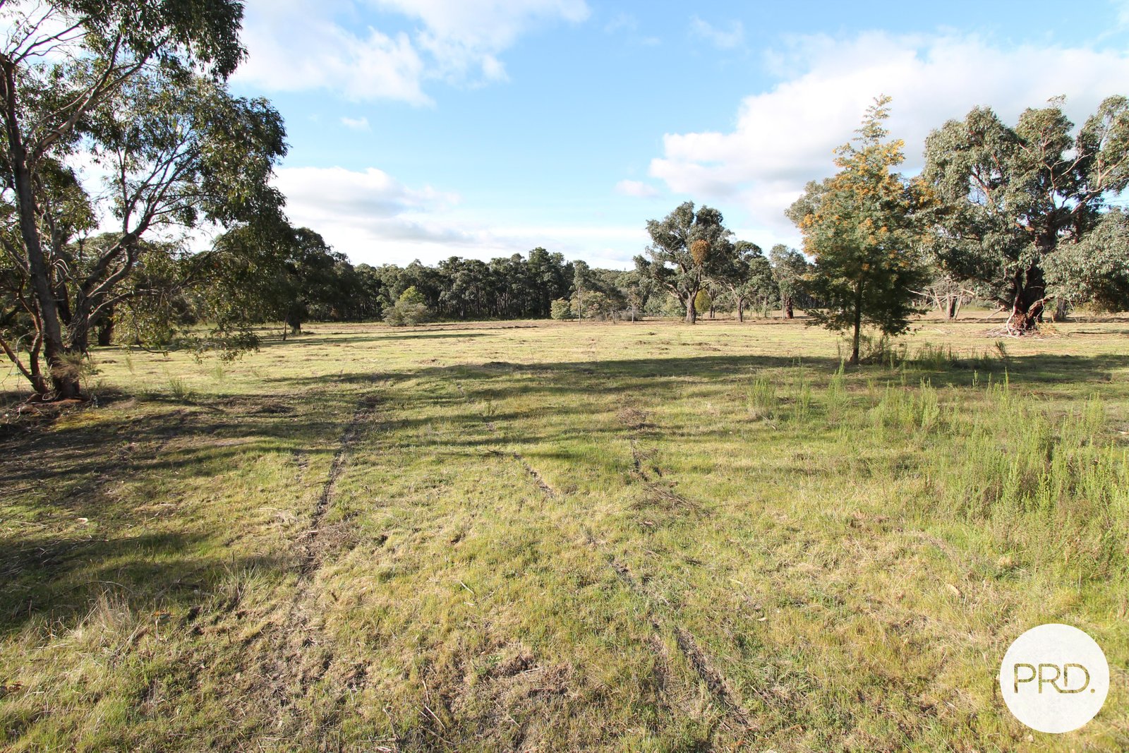 15 McMillan Road BROOMFIELD 19