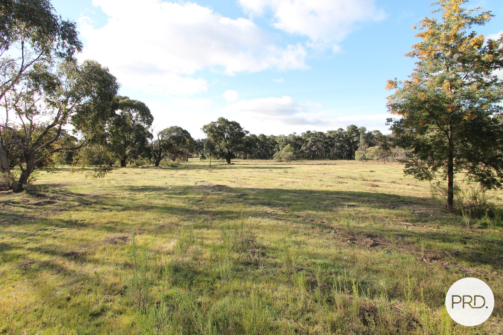 15 McMillan Road BROOMFIELD 20