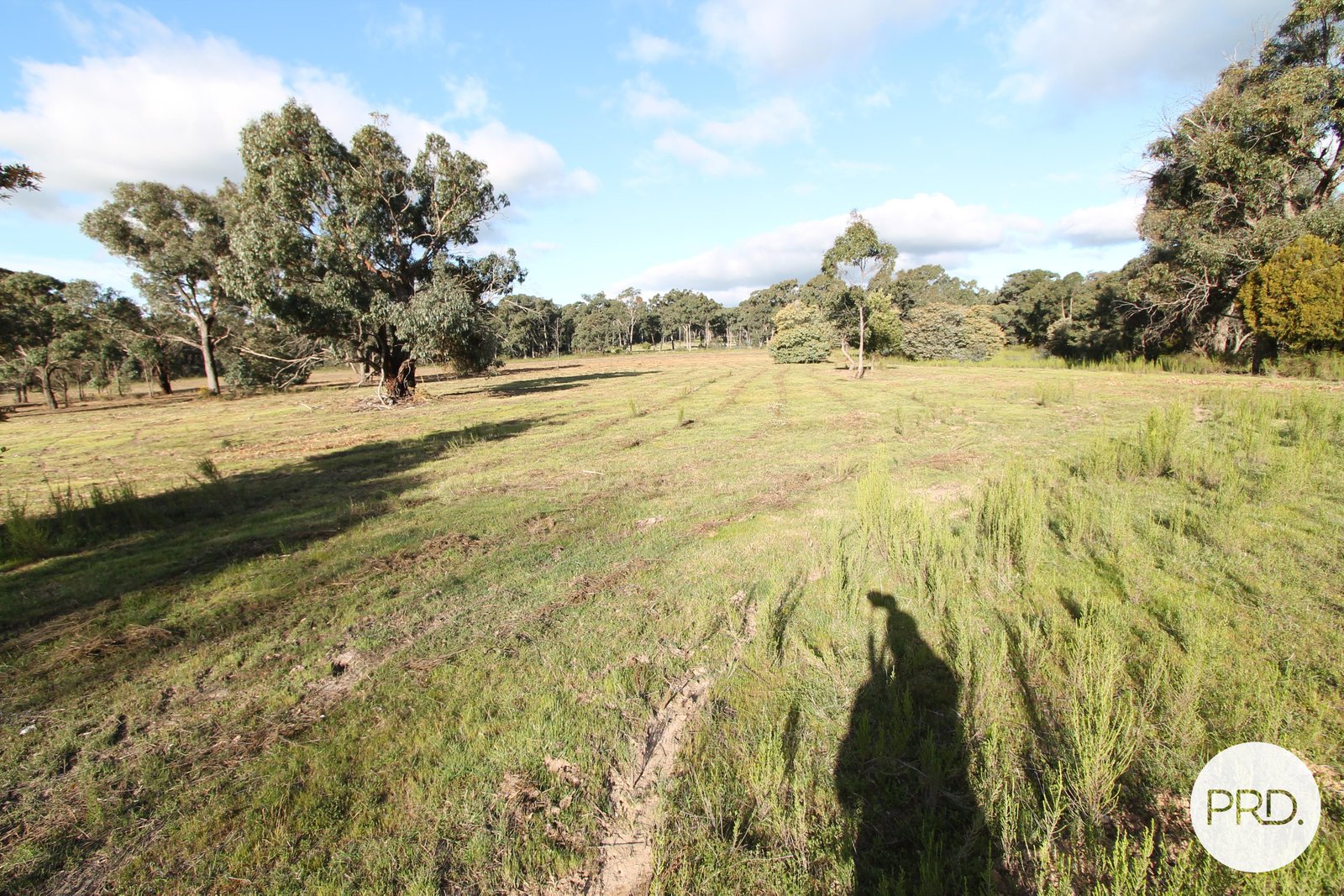 15 McMillan Road BROOMFIELD 21