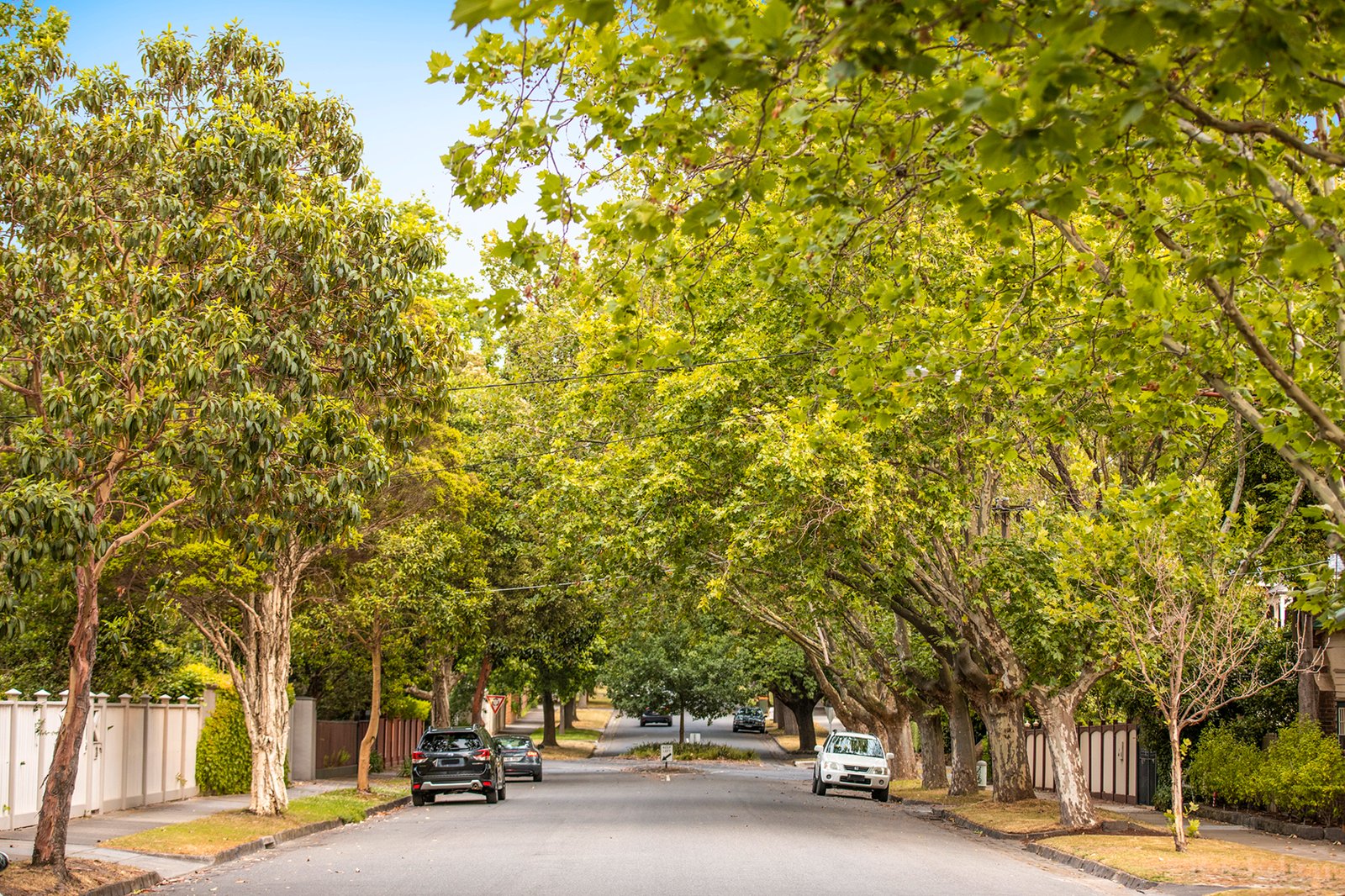 Real Estate and Property in 15 Molesworth Street, Kew, VIC