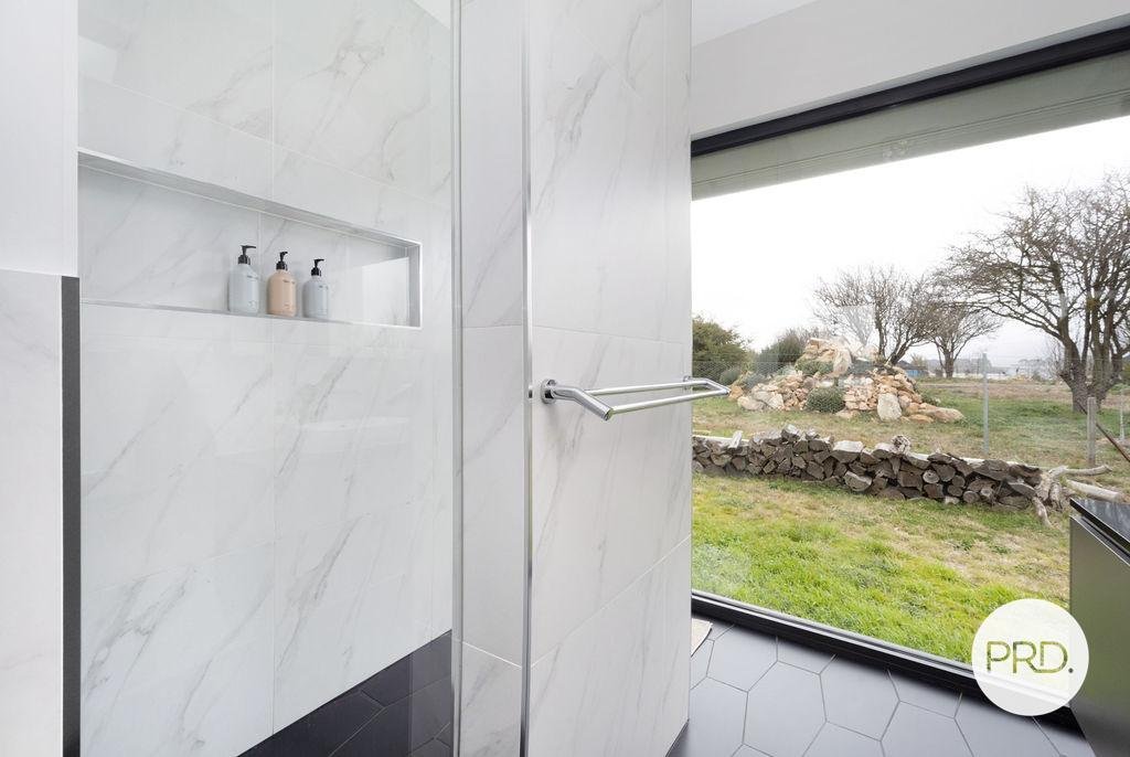 15 Murray Street COLLECTOR 12