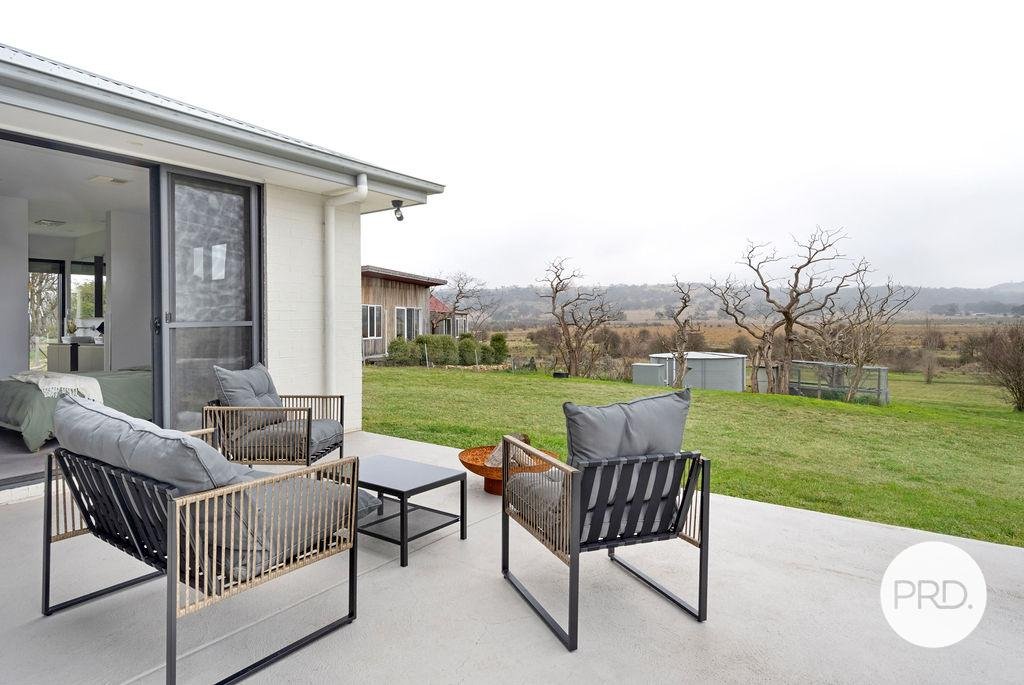 15 Murray Street COLLECTOR 22