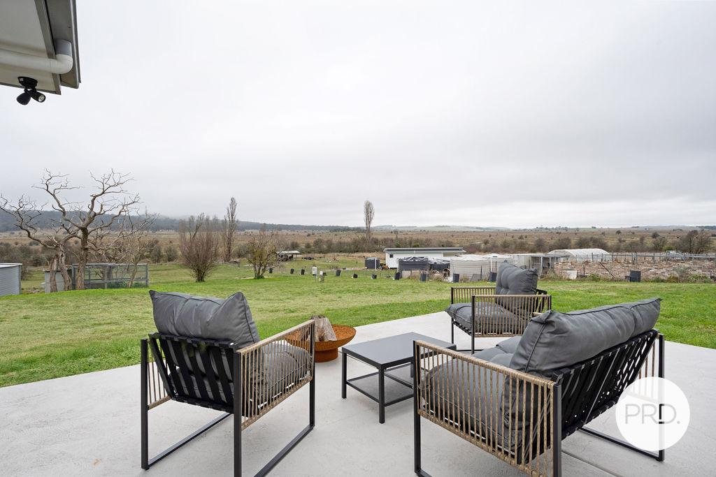 15 Murray Street COLLECTOR 23