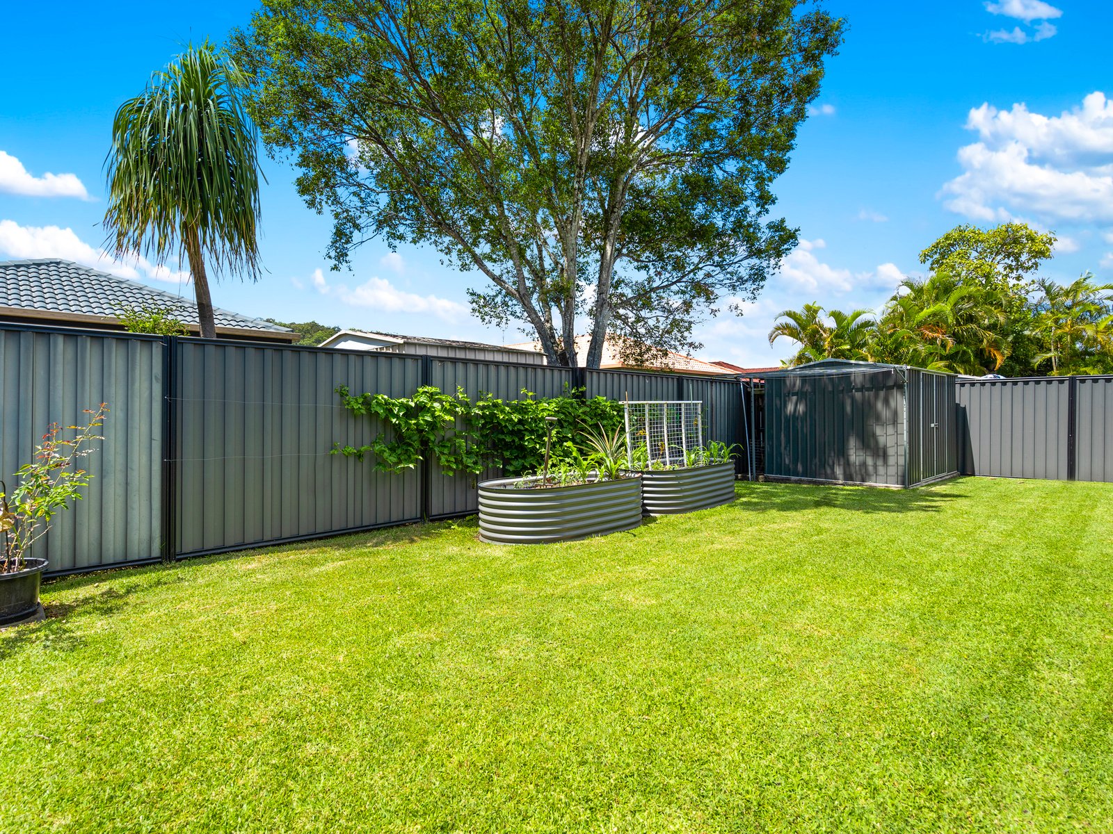 15 Neeson Place CURRUMBIN WATERS 11