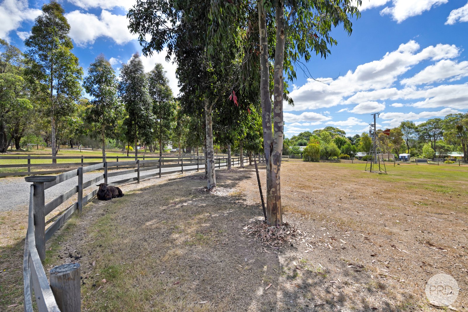 15 Noble Street SMYTHESDALE 20