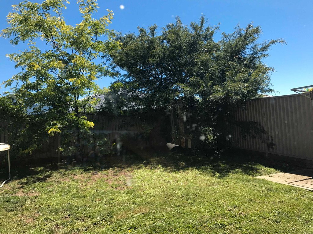 15 Oberon Street ALFREDTON 10