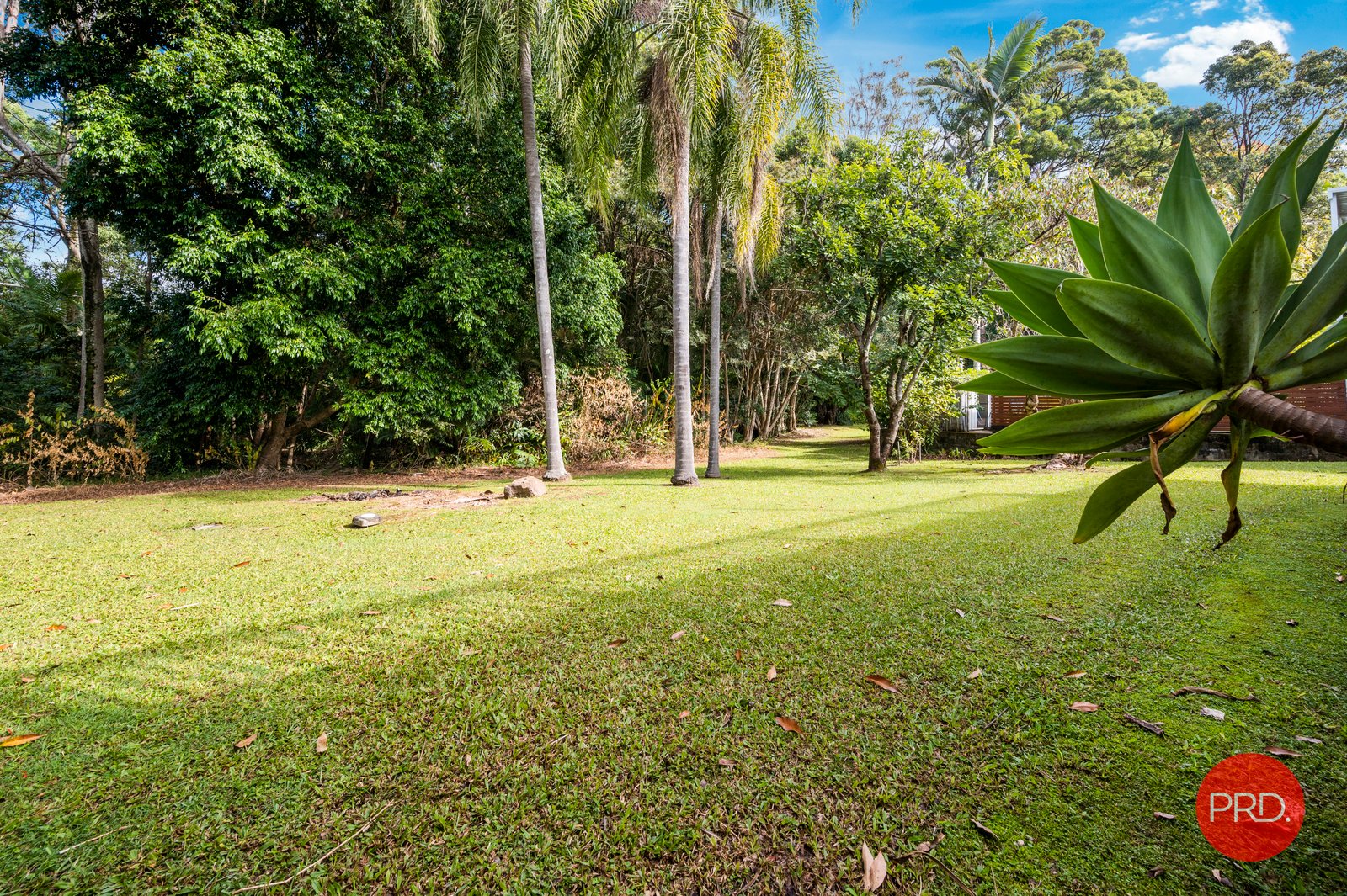 15 Oxley Place COFFS HARBOUR 21