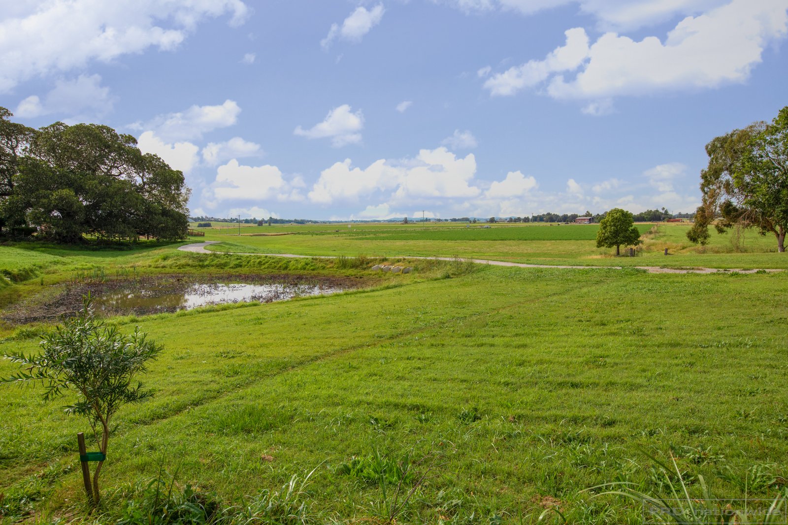 15 Paterson Road BOLWARRA 10