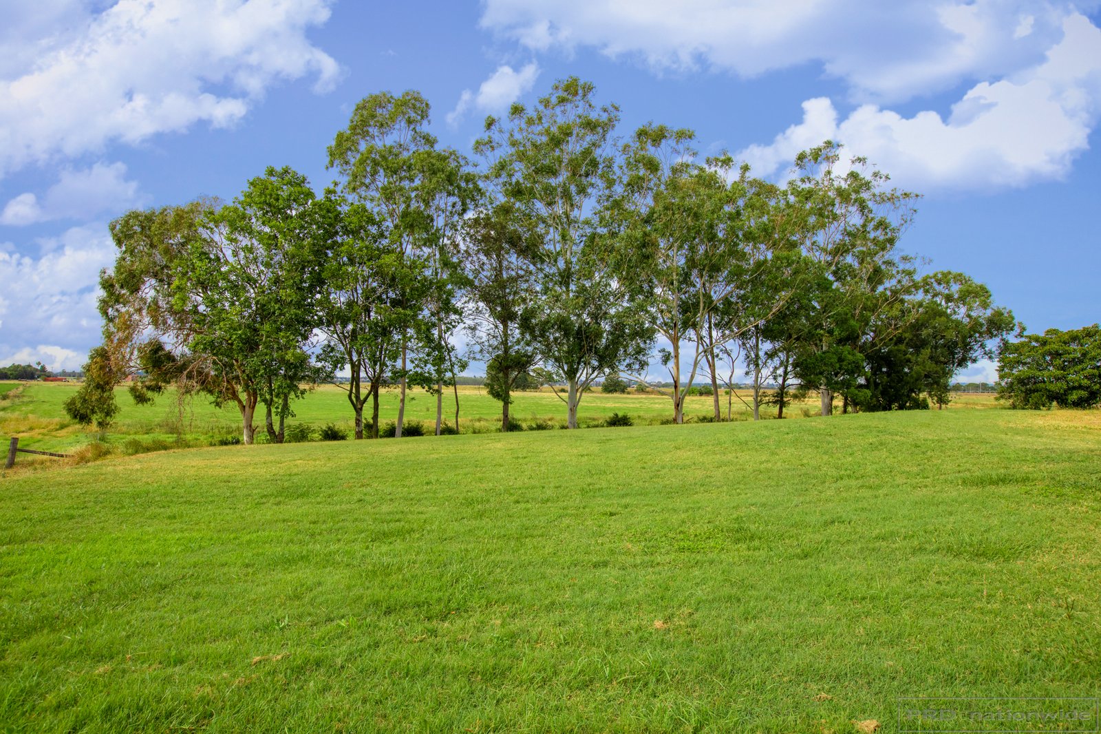 15 Paterson Road BOLWARRA 31