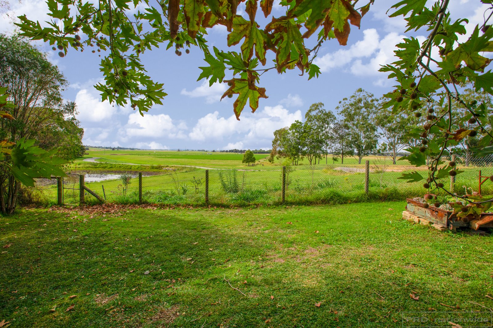 15 Paterson Road BOLWARRA 33