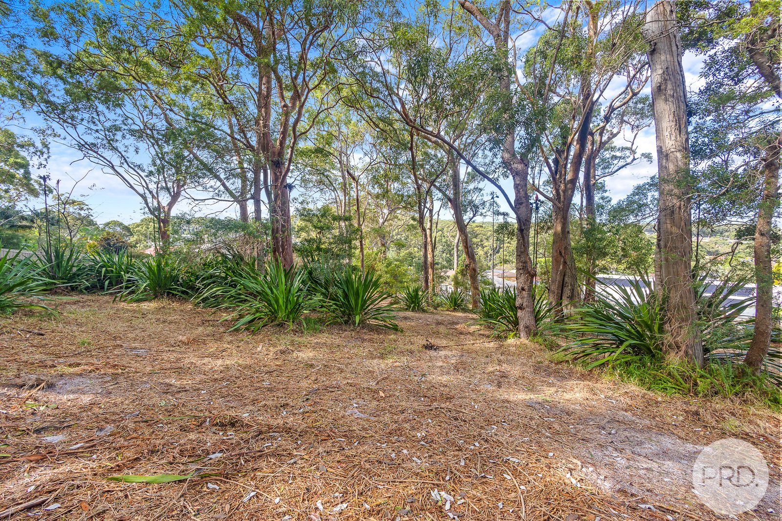 15 Portside Crescent CORLETTE 12