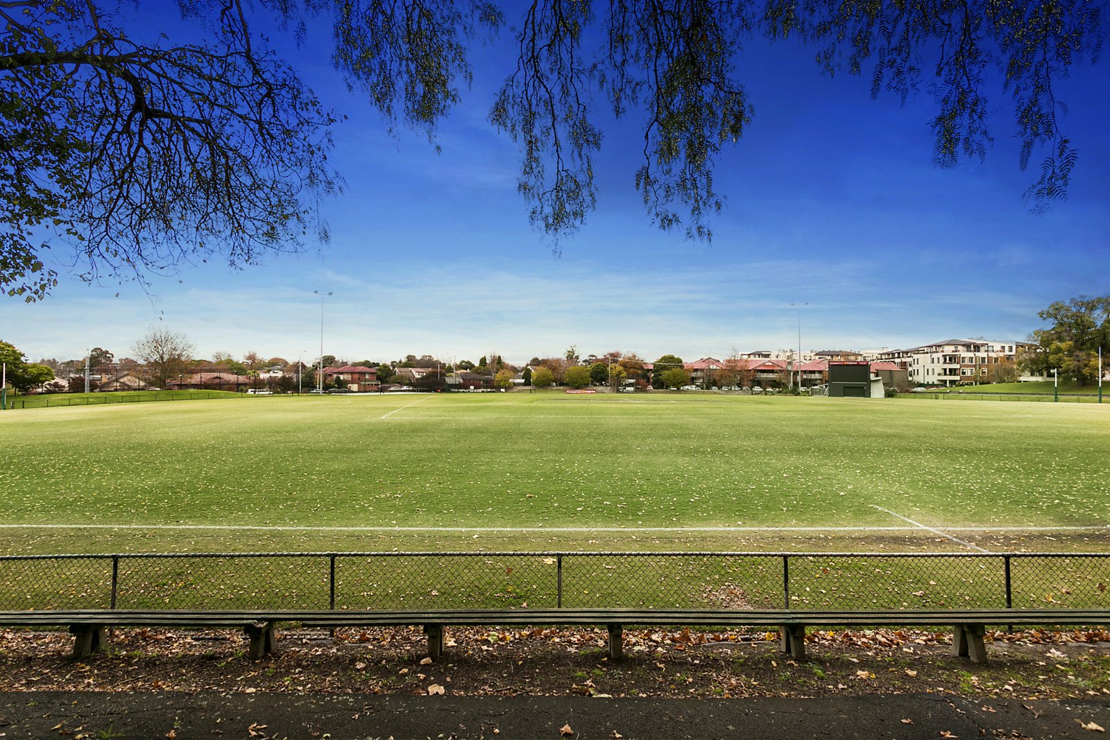 Real Estate and Property in 15 Rowell Avenue, Camberwell, VIC