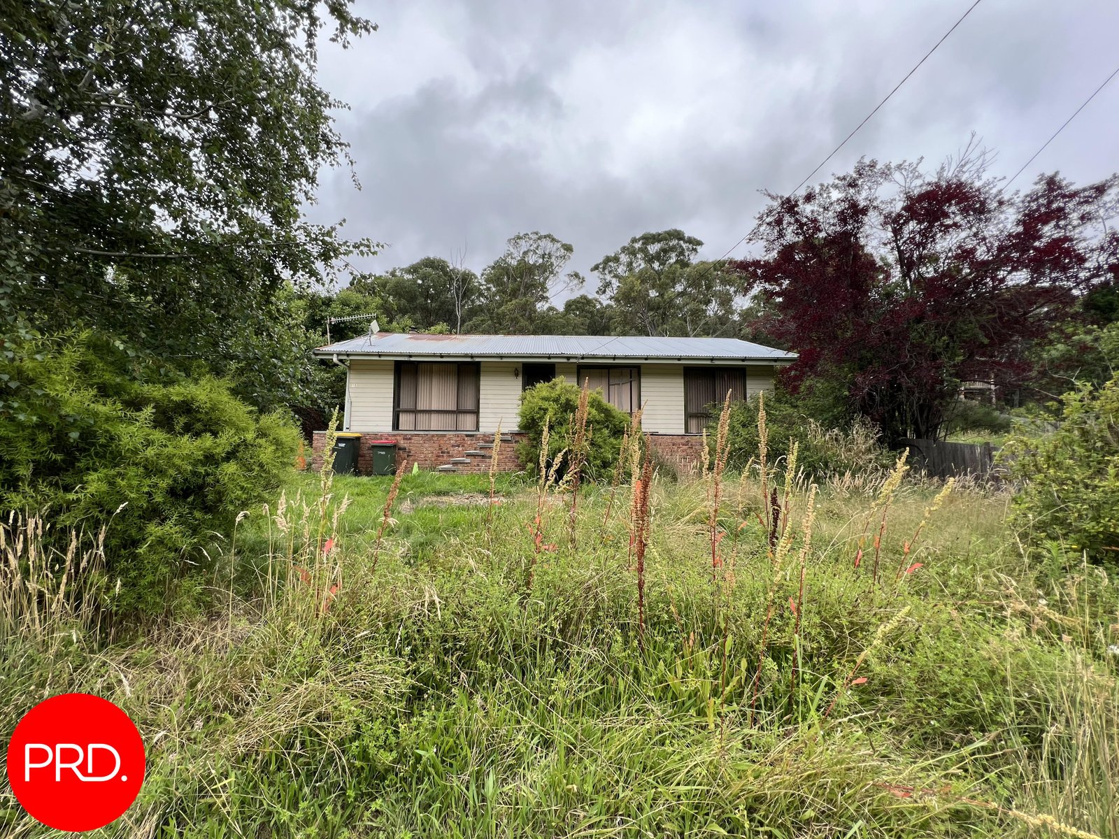 15 Schardt Street CAPTAINS FLAT 1