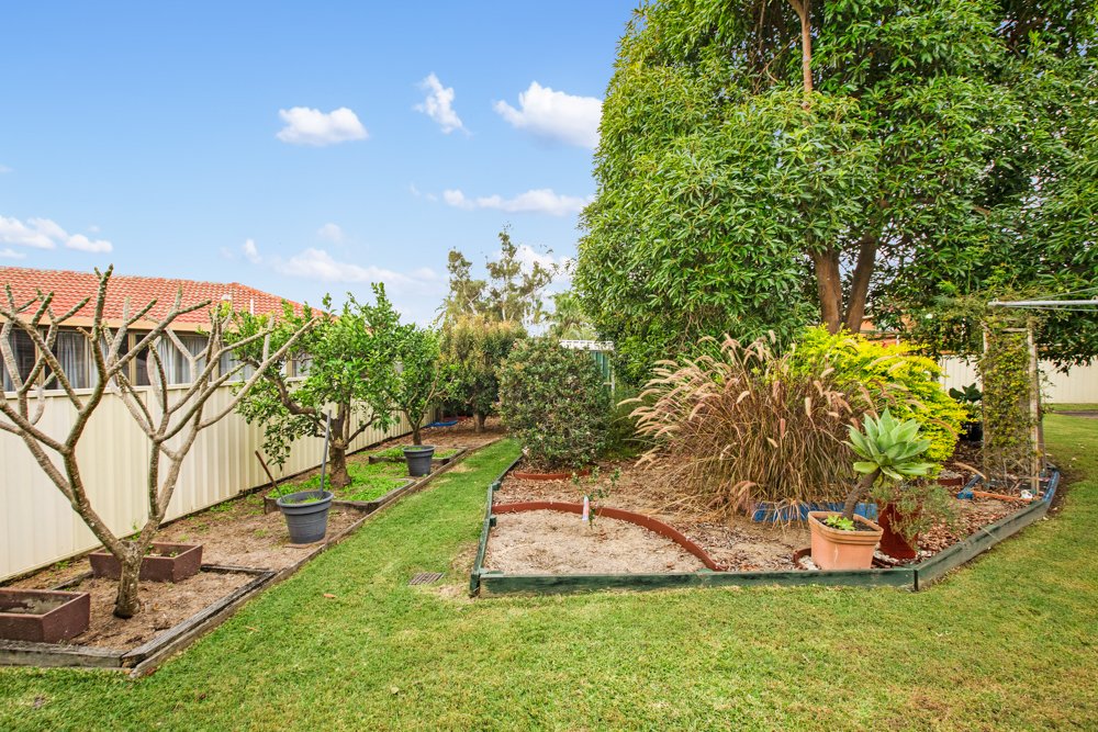 15 Stronach Avenue EAST MAITLAND 10