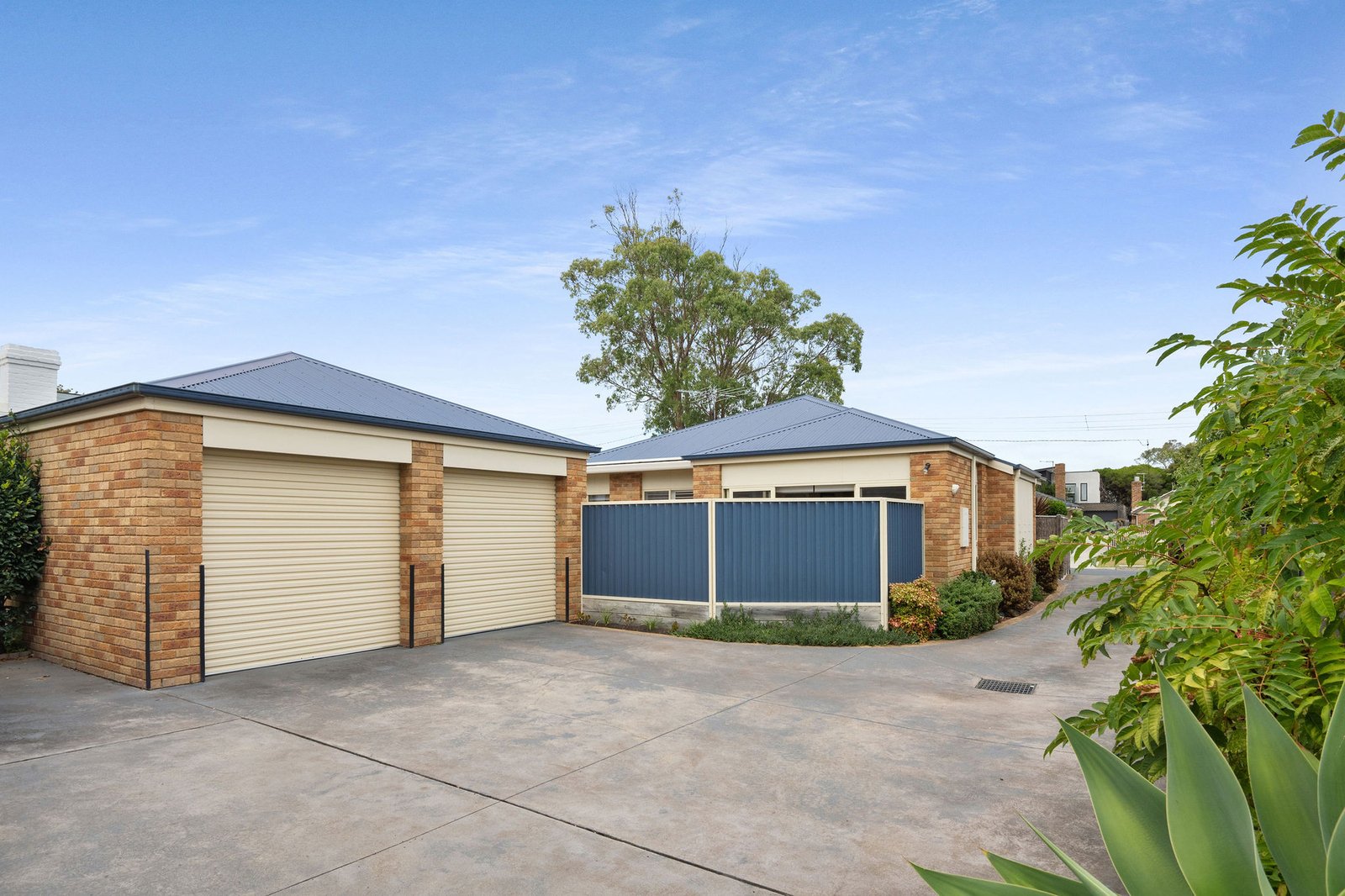 1/5 Ti Tree Grove, Mornington, 3931