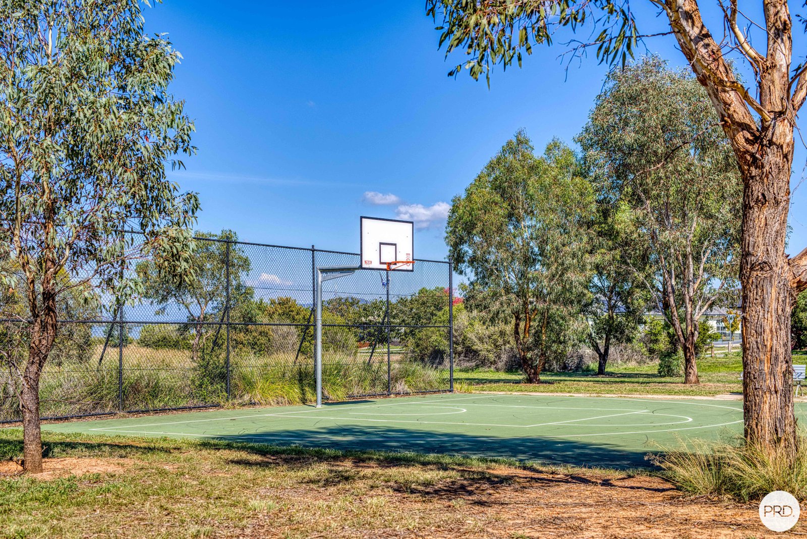 15 Trephina Street HARRISON 19