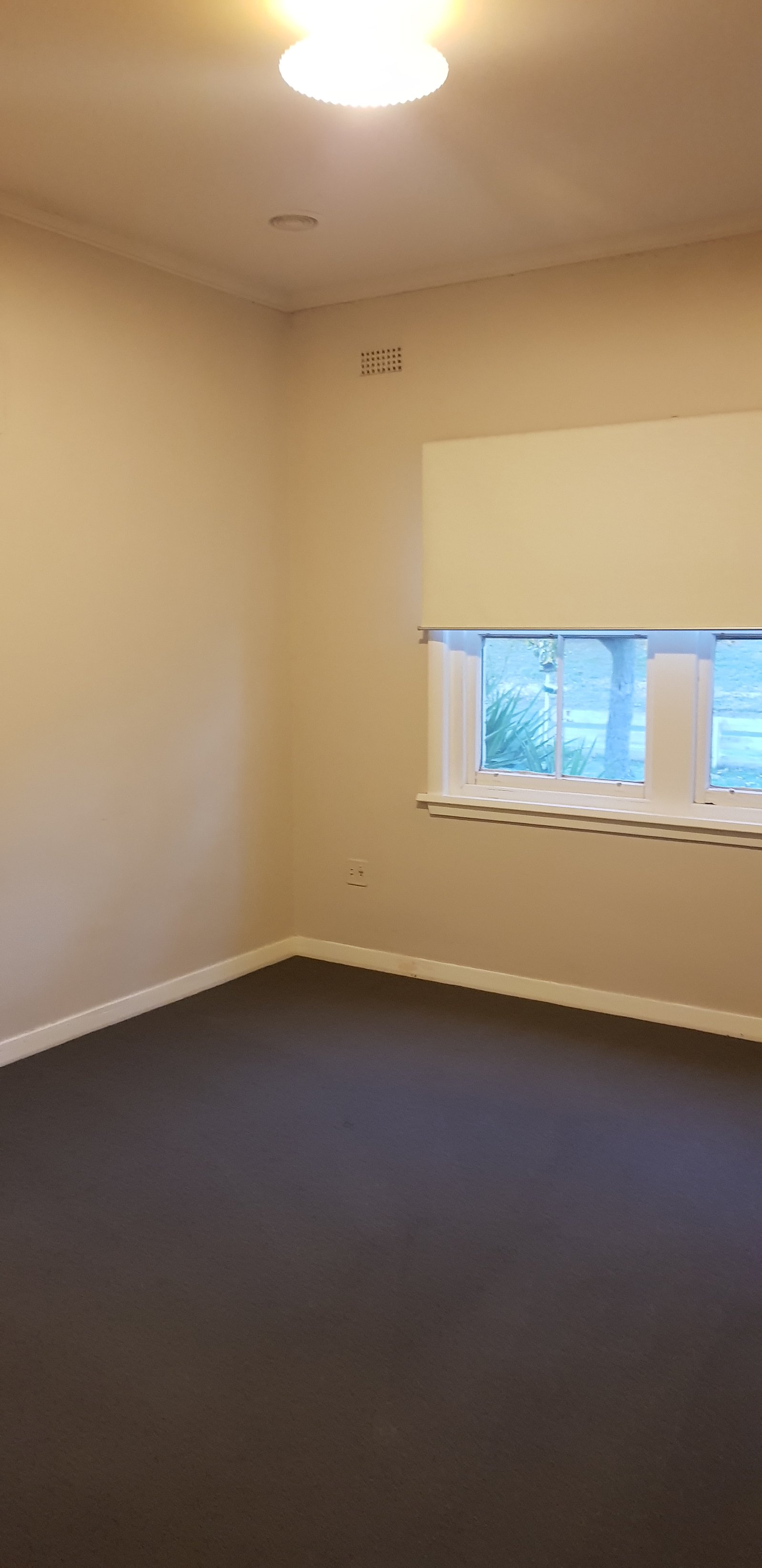 Gallery: 15 Walsh Avenue