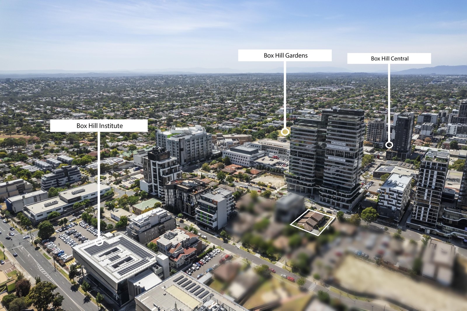 Gallery: 15 Wellington Road