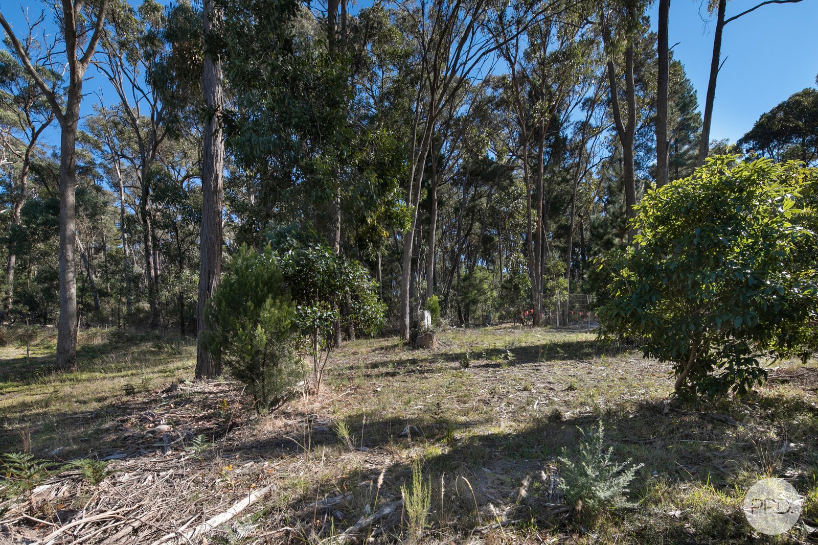 15 Zoe Drive MOUNT HELEN 3