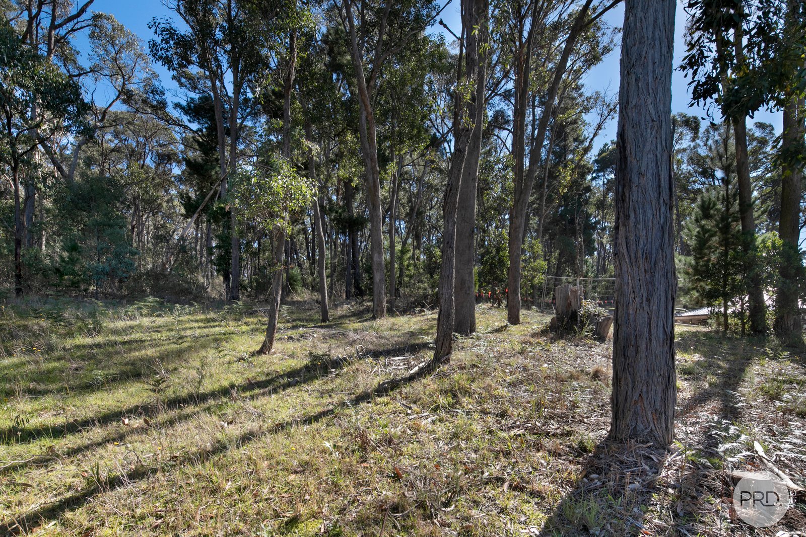 15 Zoe Drive MOUNT HELEN 4