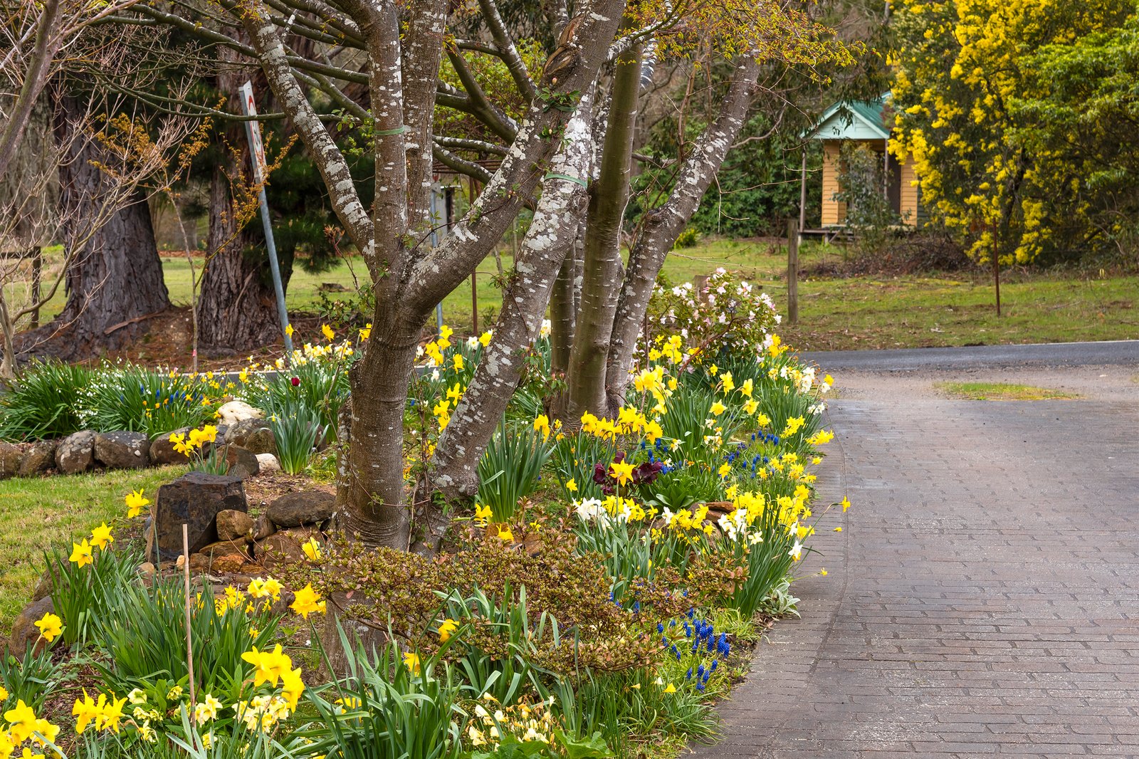 Real Estate and Property in 150 Brougham Road, Mount Macedon, VIC