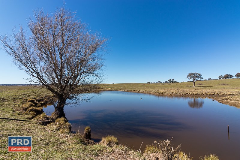 150 Cullerin Road BREADALBANE 16