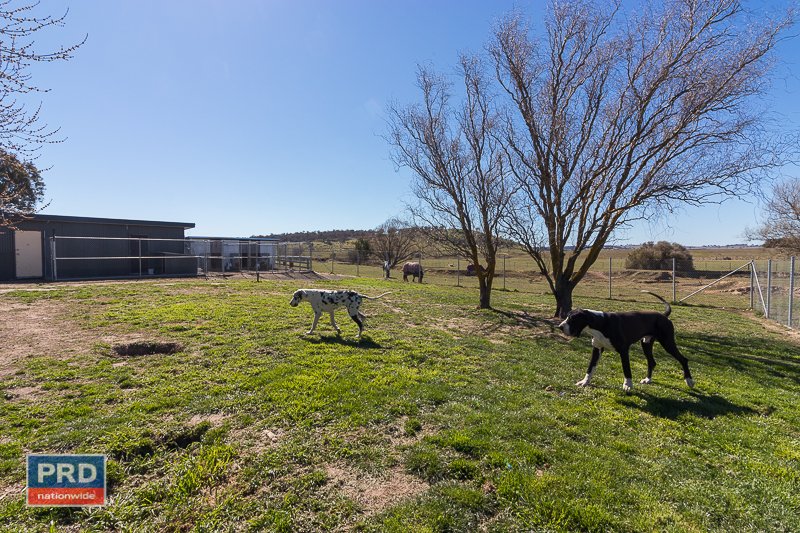 150 Cullerin Road BREADALBANE 23