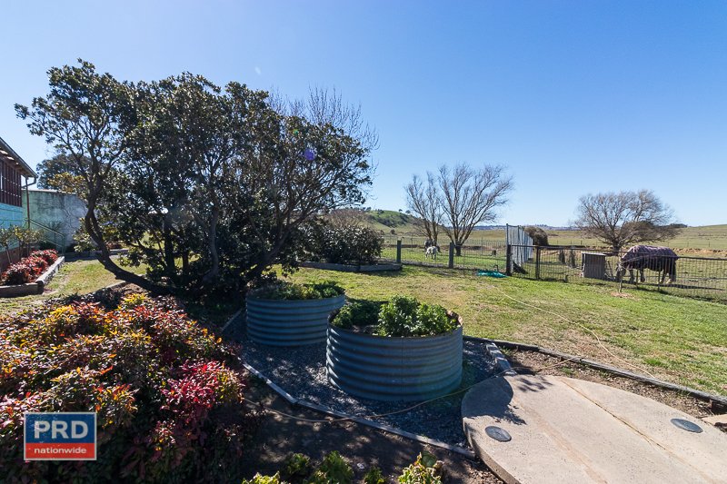 150 Cullerin Road BREADALBANE 26