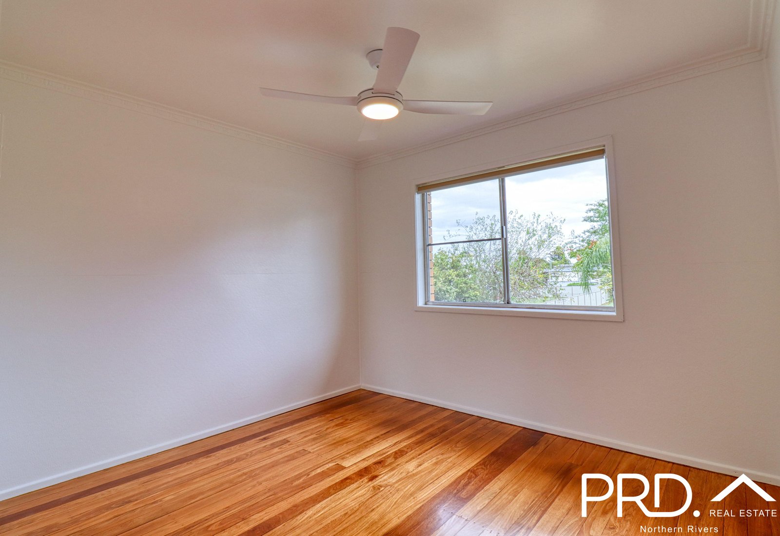 1/50 East Street CASINO 12