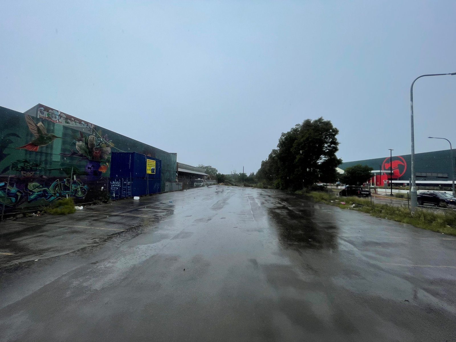 150 McEvoy Street ALEXANDRIA 1