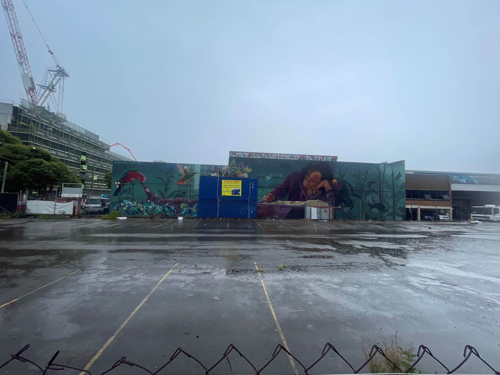 150 McEvoy Street ALEXANDRIA 2