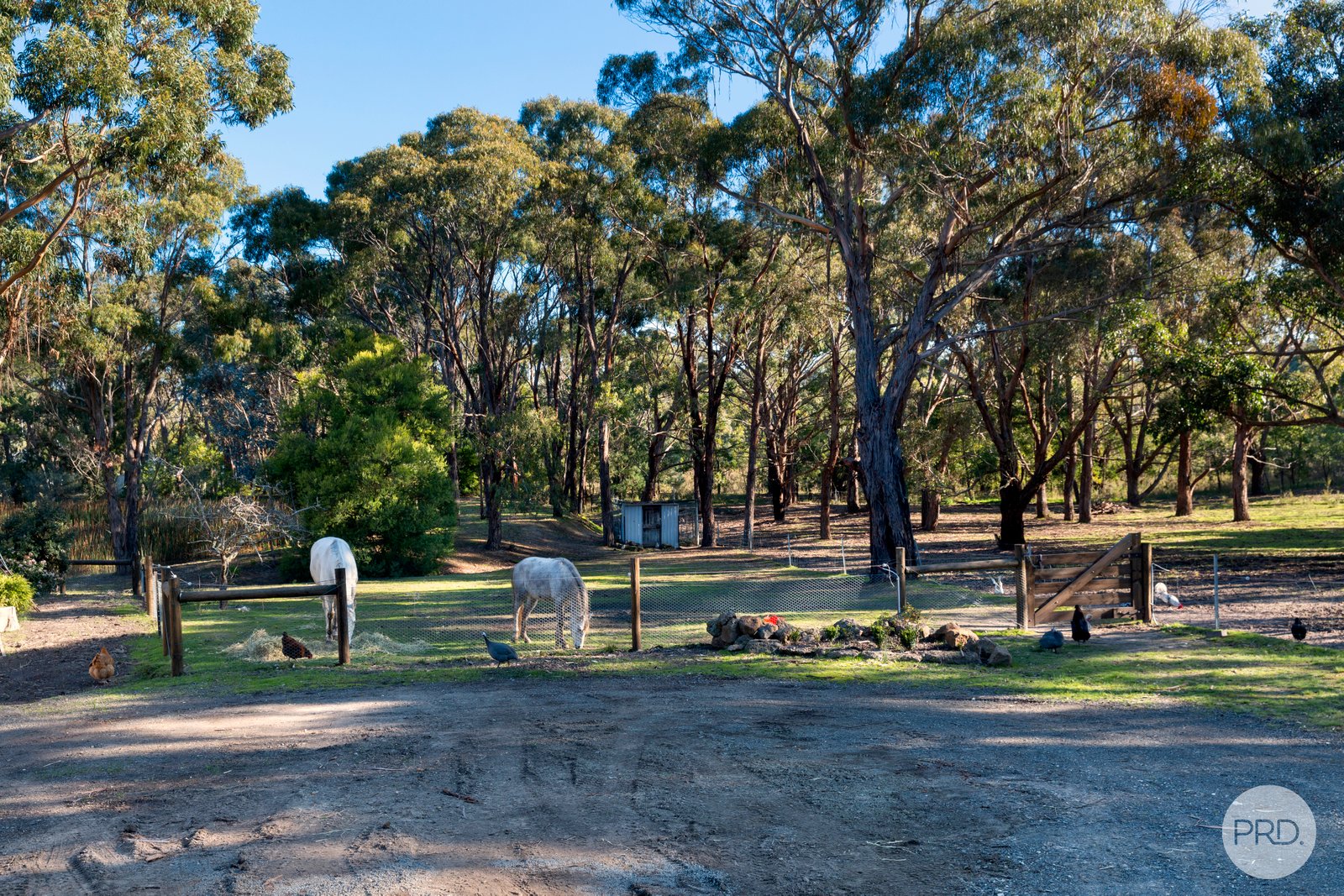 150 Woodland Drive SCARSDALE 20